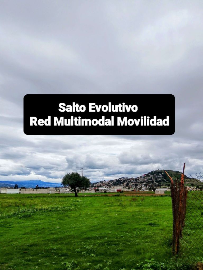 Ted Multimodal Movilidad 